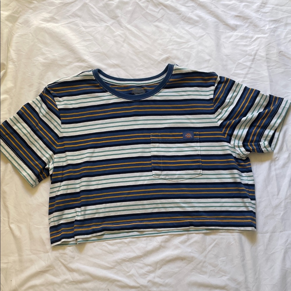 Dickies Multicolor Striped Kids Tee